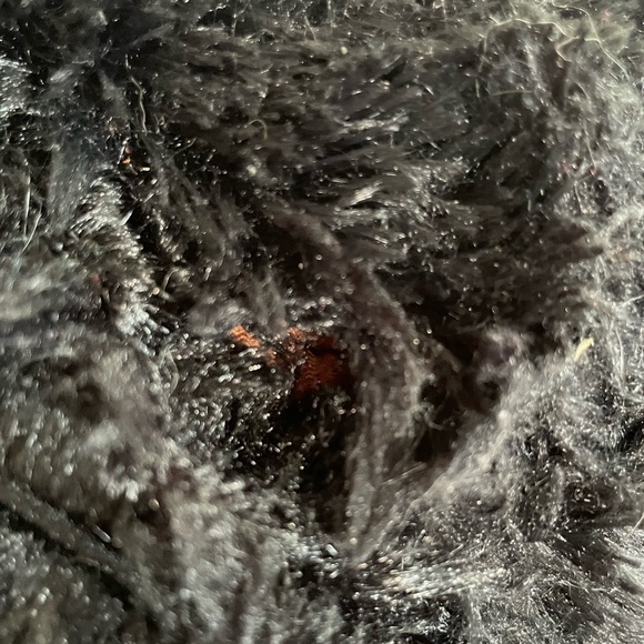 Thrills & Chills  Spider Cat Bed - Halloween - Picture 8 of 11